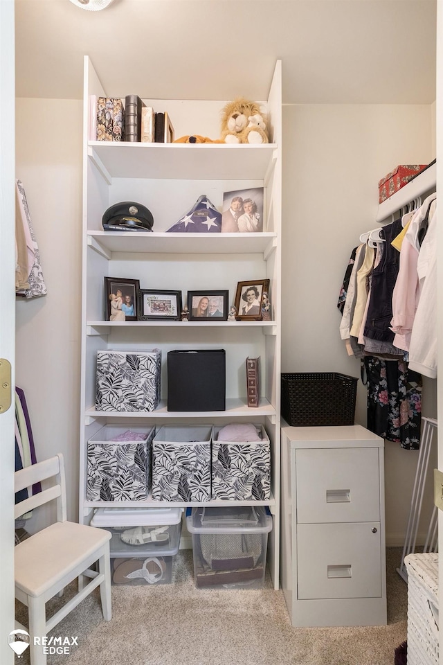 spacious closet featuring carpet