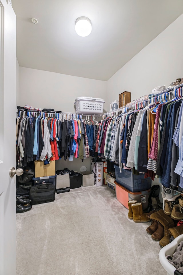 walk in closet with carpet flooring