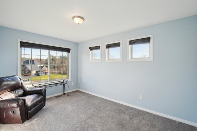 living area featuring carpet flooring