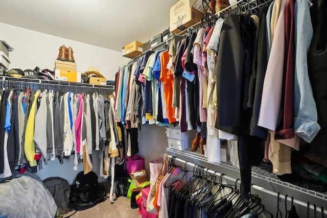 walk in closet featuring carpet floors