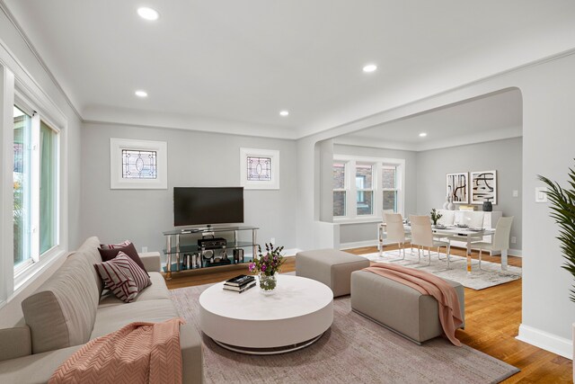 living room with wood-type flooring