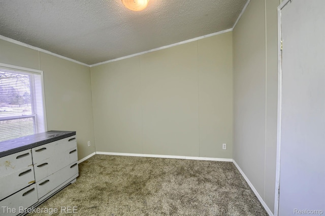 2350 Iowa Ave, Saginaw, MI 48601 - spare room with carpet floors, a textured ceiling, and ornamental molding