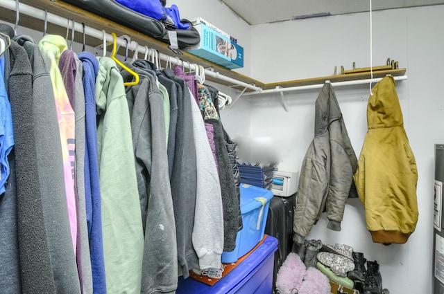 view of spacious closet