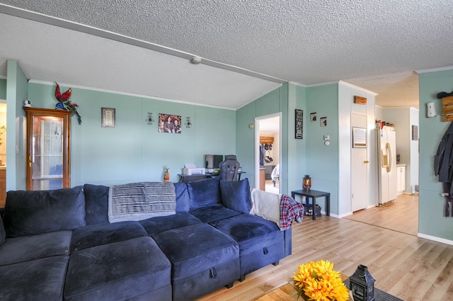 living room featuring crown molding, a textured ceiling, and hardwood / wood-style flooring