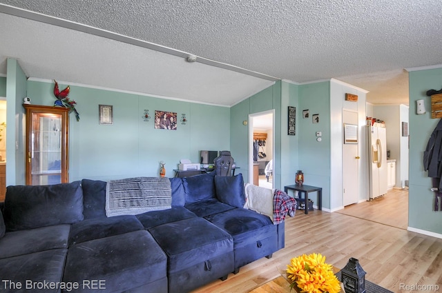 2350 Iowa Ave, Saginaw, MI 48601 - living room with crown molding, light wood-type flooring, and a textured ceiling