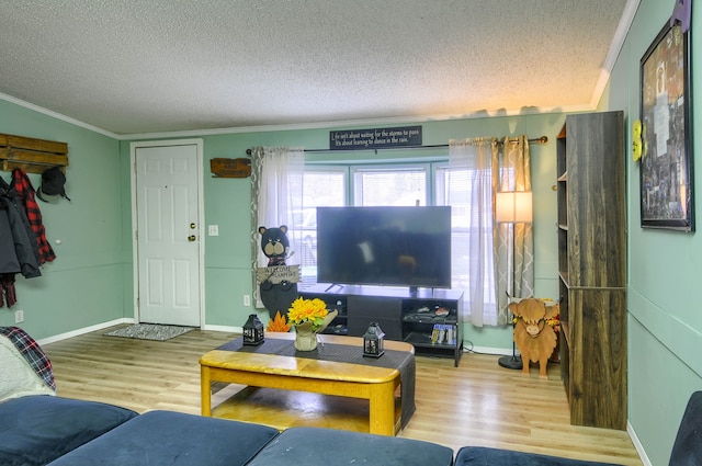 living room featuring hardwood / wood-style flooring and a textured ceiling