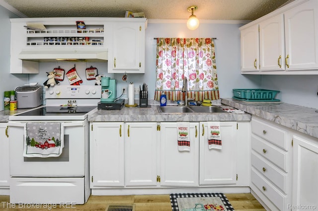 2350 Iowa Ave, Saginaw, MI 48601 - kitchen featuring electric stove, range hood, white cabinets, crown molding, and light countertops