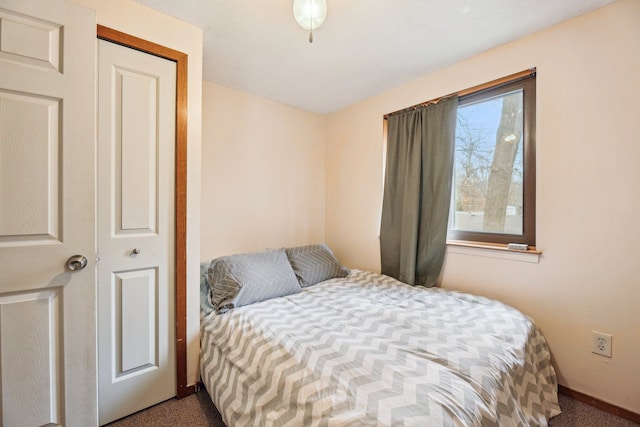 carpeted bedroom featuring a closet and multiple windows