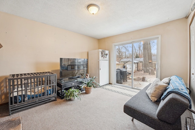 living room featuring carpet flooring and a textured ceiling