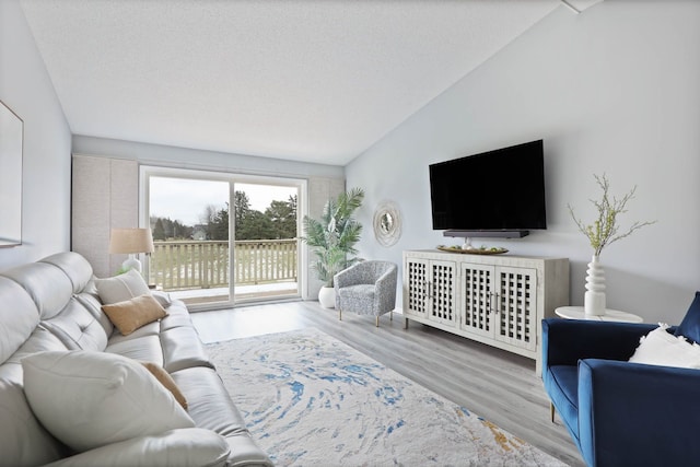 living room featuring lofted ceiling and light wood-type flooring