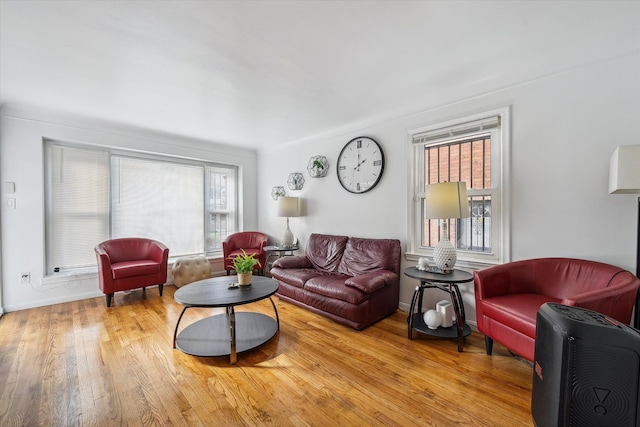 living room with light hardwood / wood-style flooring