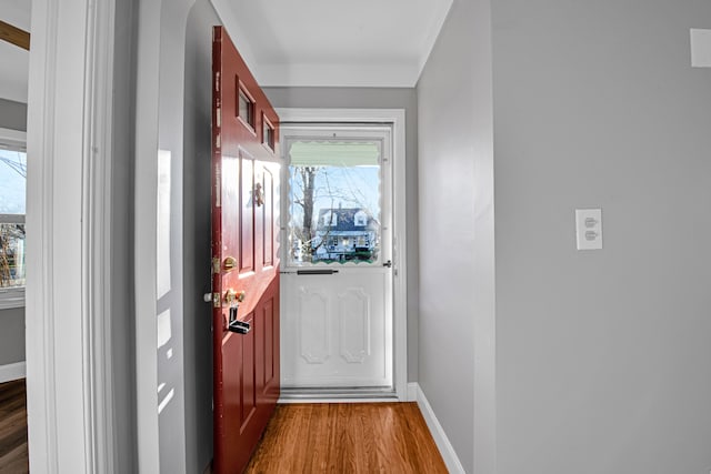 entryway featuring dark hardwood / wood-style flooring