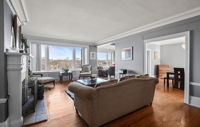 living room featuring light wood-style floors, baseboards, and ornamental molding