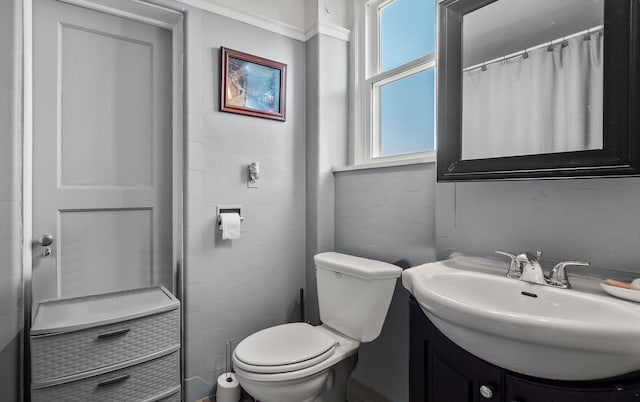 bathroom featuring toilet and vanity