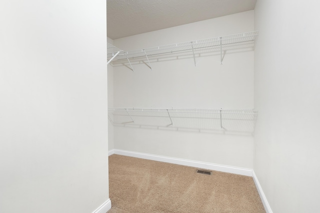 walk in closet featuring carpet