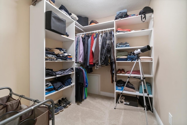 walk in closet featuring light carpet