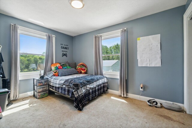 210 E Mcneil St, Corunna, MI 48817 - bedroom featuring carpet floors and baseboards
