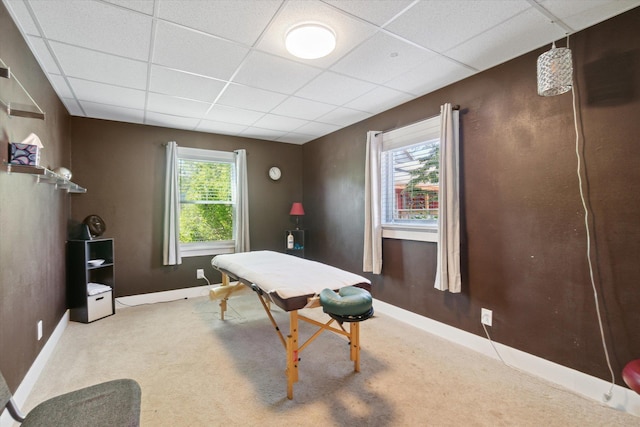 game room with carpet, plenty of natural light, and a drop ceiling