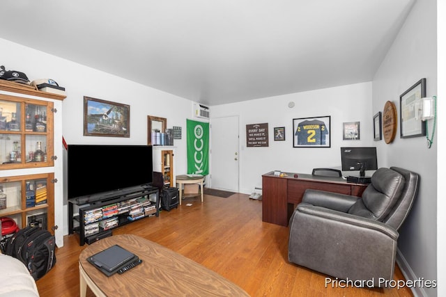 living room featuring wood-type flooring