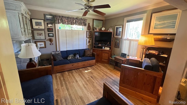 164 Albertson St, Rochester, MI 48307 - photo 3