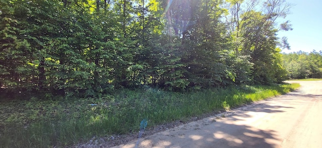 Listing photo 2 for TBD Bocook, Mancelona MI 49659