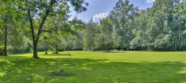 view of home's community with a yard