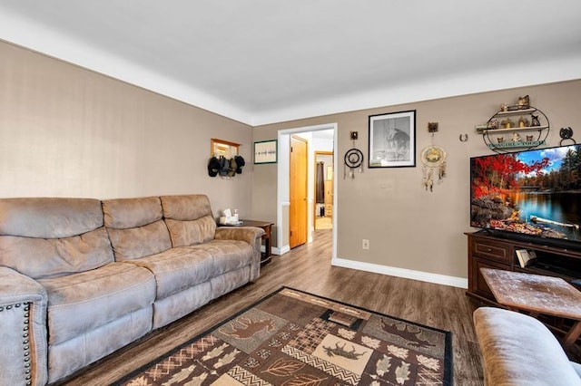 living room with hardwood / wood-style flooring