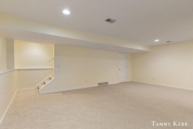 basement featuring carpet floors