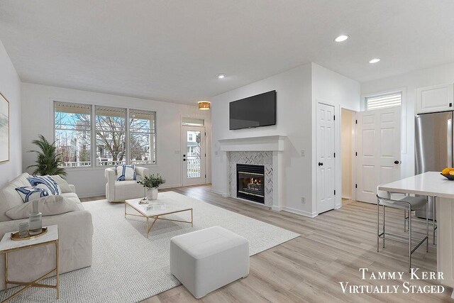 living room with a premium fireplace and light wood-type flooring