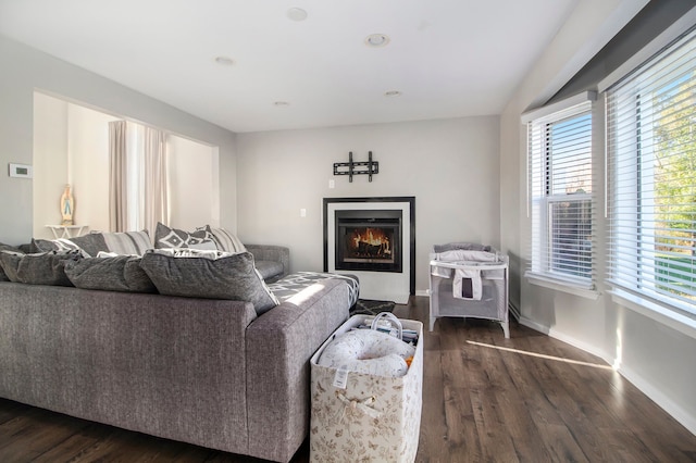 living room with dark wood-type flooring