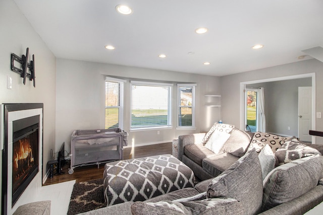 living room with hardwood / wood-style flooring