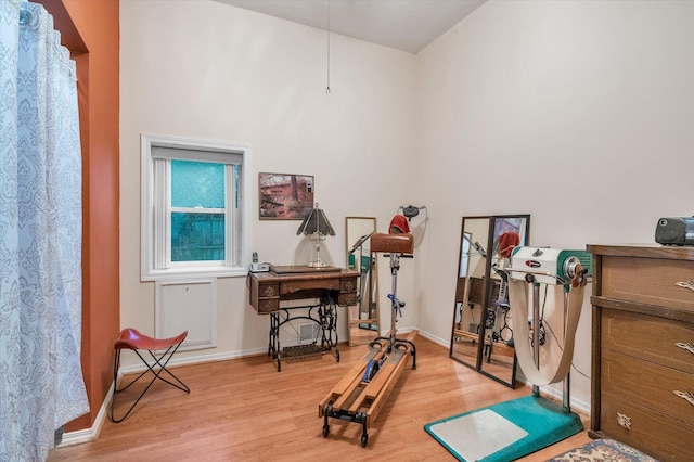 2639 S 3rd St, Niles, MI 49120 - exercise room featuring light hardwood / wood-style floors