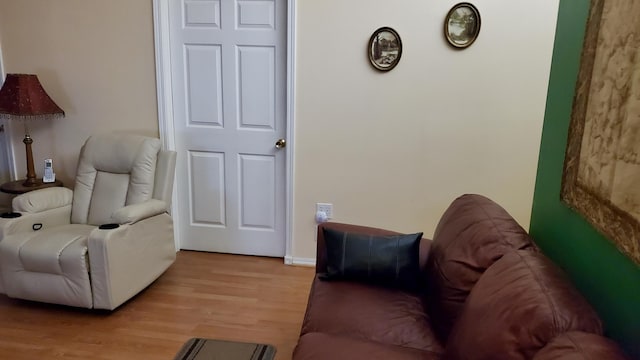 2639 S 3rd St, Niles, MI 49120 - living room with light wood-type flooring