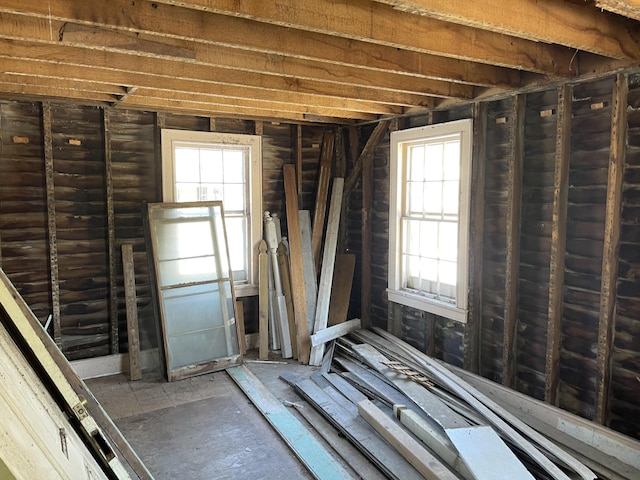 717 W Liberty St, Ann Arbor, MI 48103 - miscellaneous room with plenty of natural light