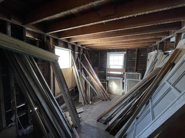 miscellaneous room featuring a wealth of natural light