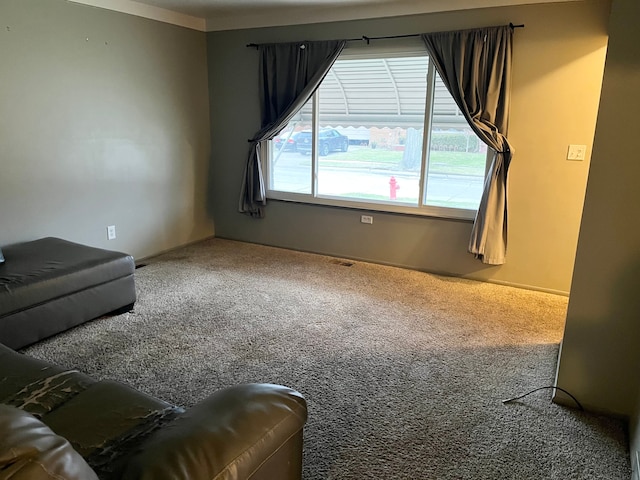 interior space featuring carpet flooring