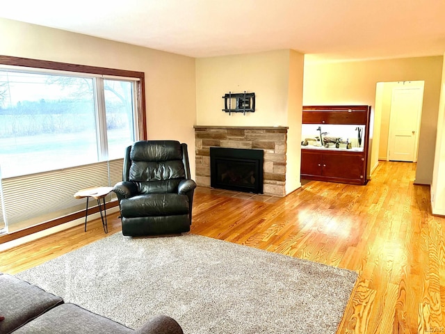 living room featuring a fireplace and hardwood / wood-style floors