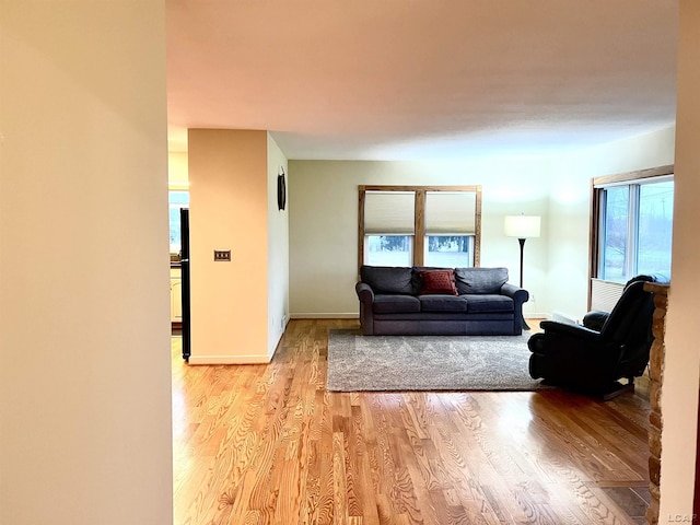 living room featuring light wood-type flooring