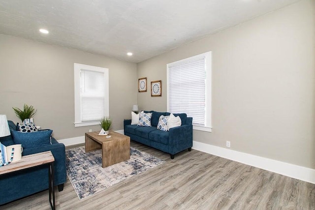 living room featuring a healthy amount of sunlight and light wood-type flooring