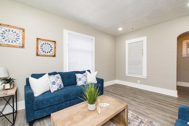 living room with hardwood / wood-style flooring