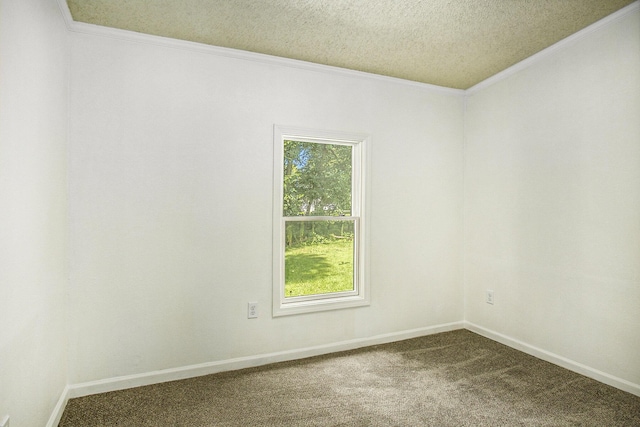 carpeted spare room featuring a textured ceiling and ornamental molding