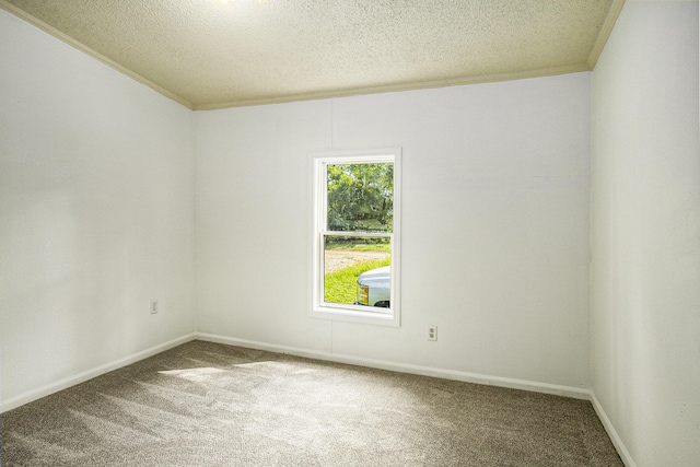 carpeted spare room with crown molding and a textured ceiling