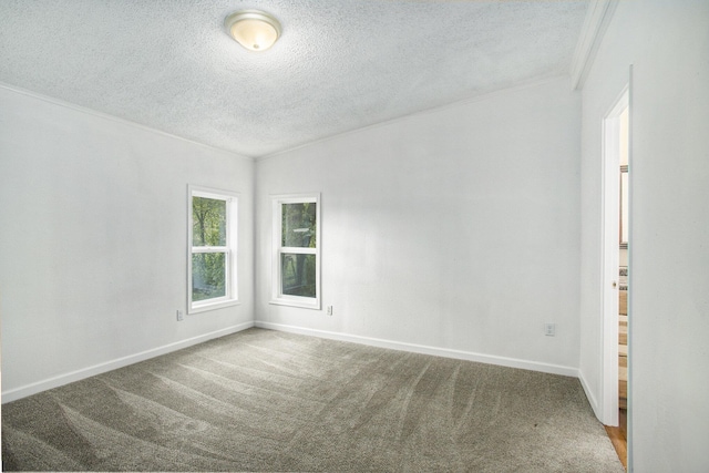 empty room with carpet and a textured ceiling