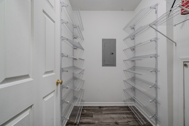 walk in closet featuring dark hardwood / wood-style floors and electric panel