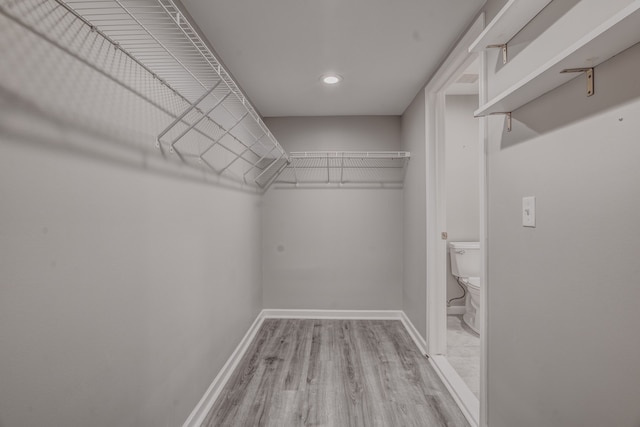 walk in closet featuring hardwood / wood-style floors