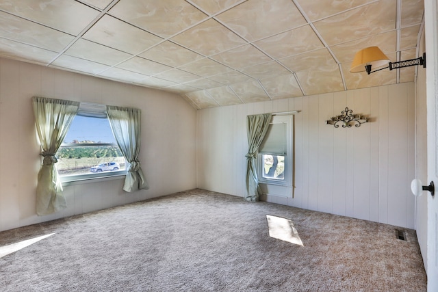 carpeted spare room featuring plenty of natural light and wood walls