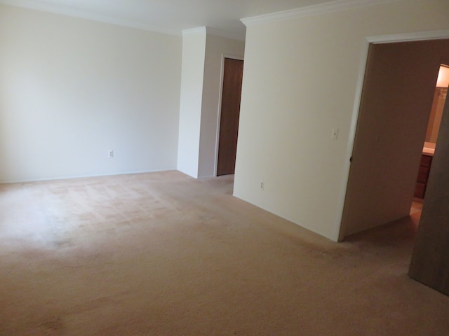 carpeted spare room with crown molding