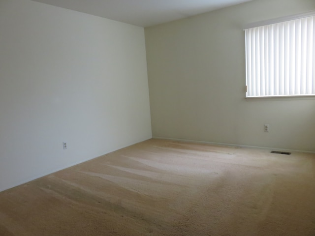 spare room featuring carpet floors