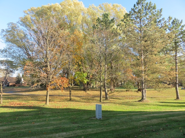 view of community with a yard