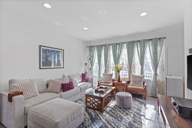 living room with hardwood / wood-style floors